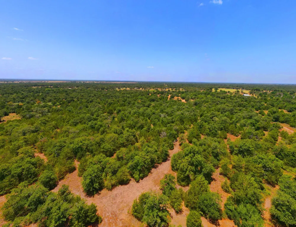 1071 Blacksmith Farm Lane Weimar, TX 78962