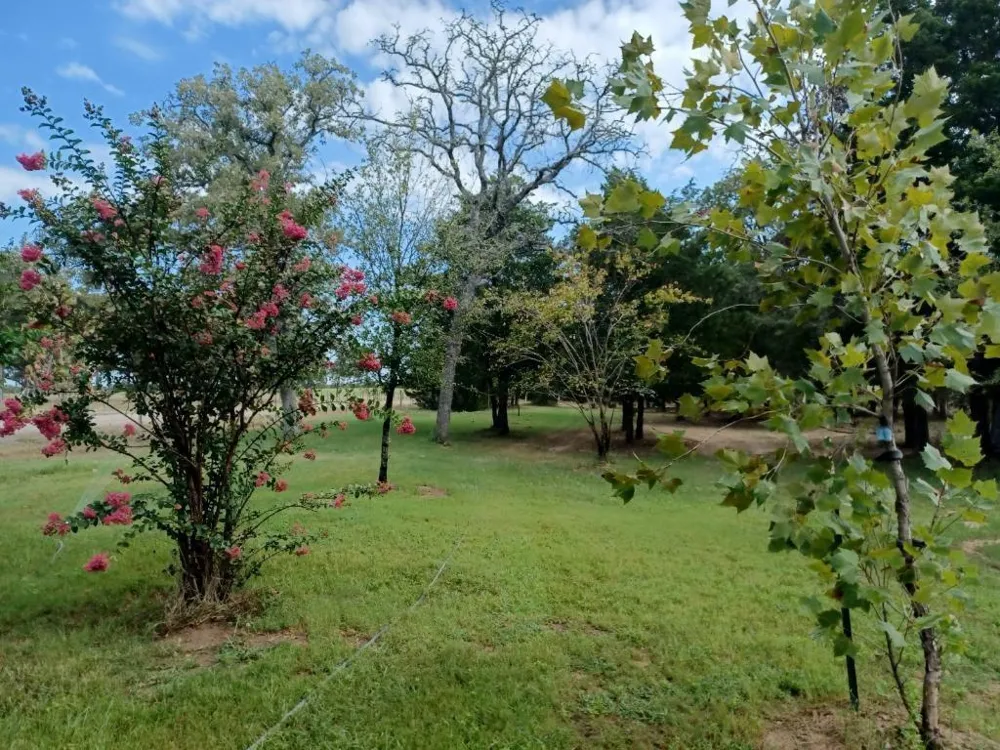 1071 Blacksmith Farm Lane Weimar, TX 78962