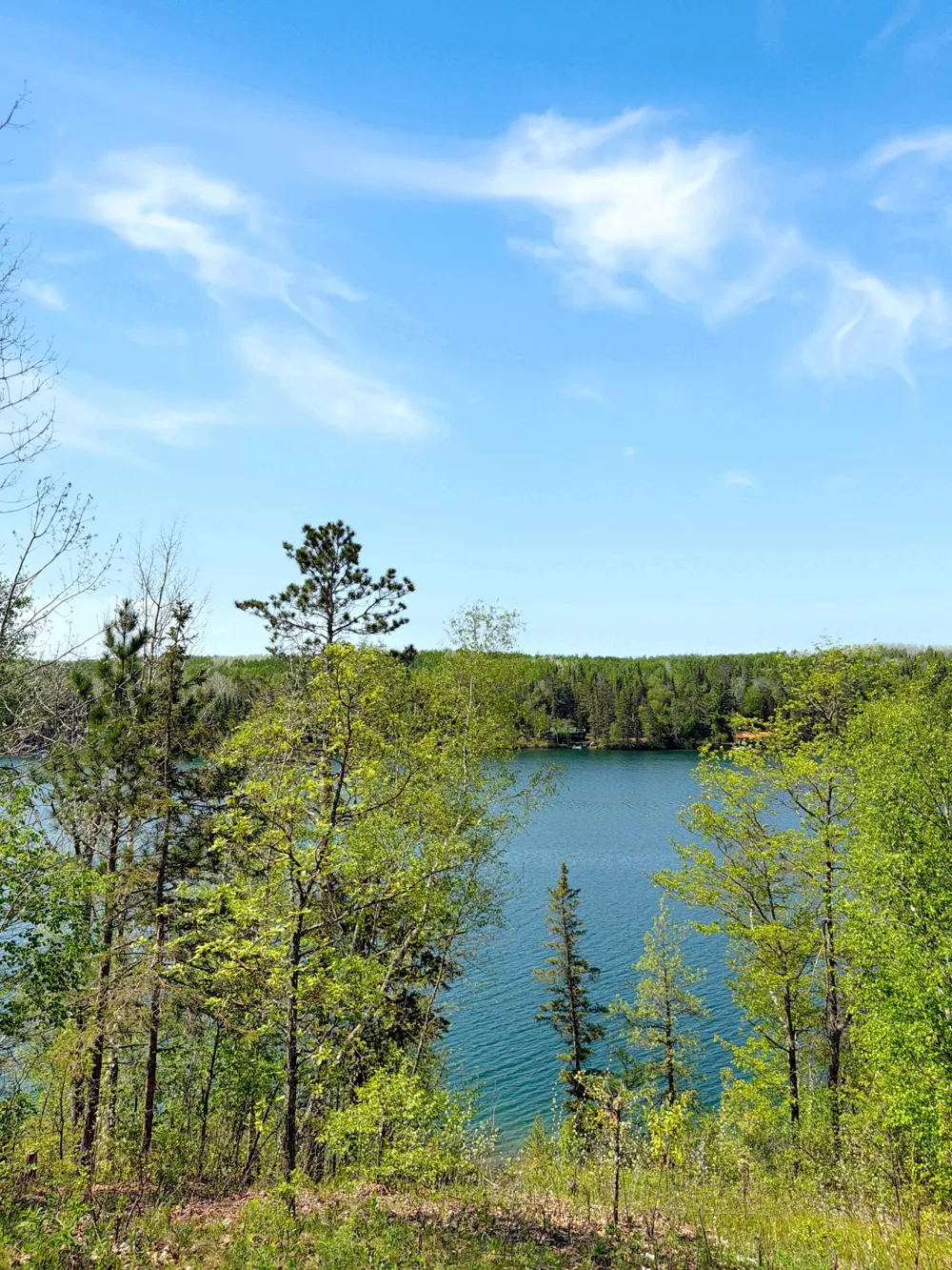 23349 State 200 Shevlin, MN 56676