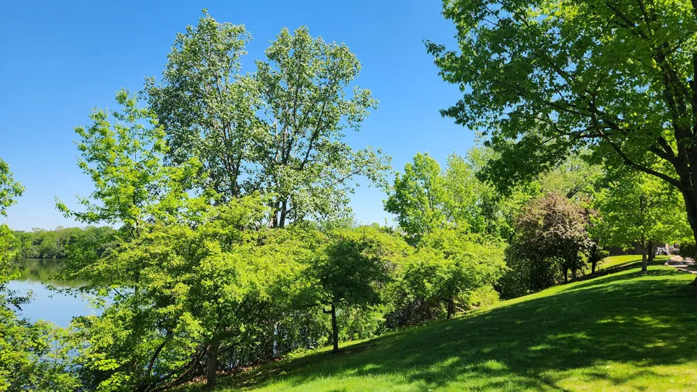 804 Cliffs Drive #205 F Ypsilanti Charter Township, MI 48198