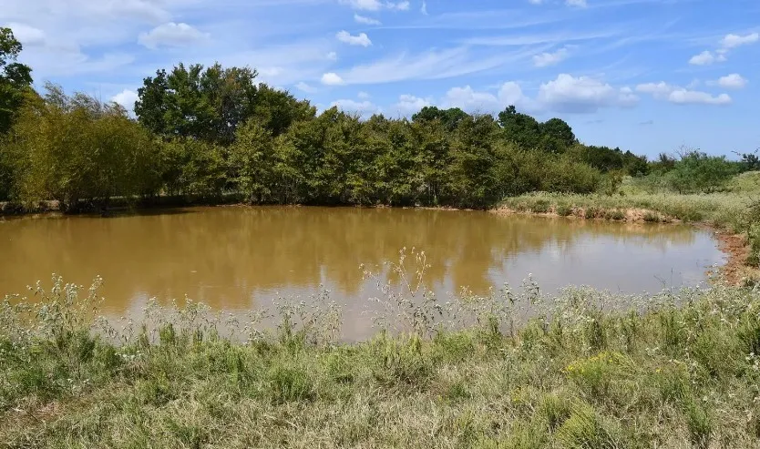190 Private Road 408 Buffalo, TX 75831