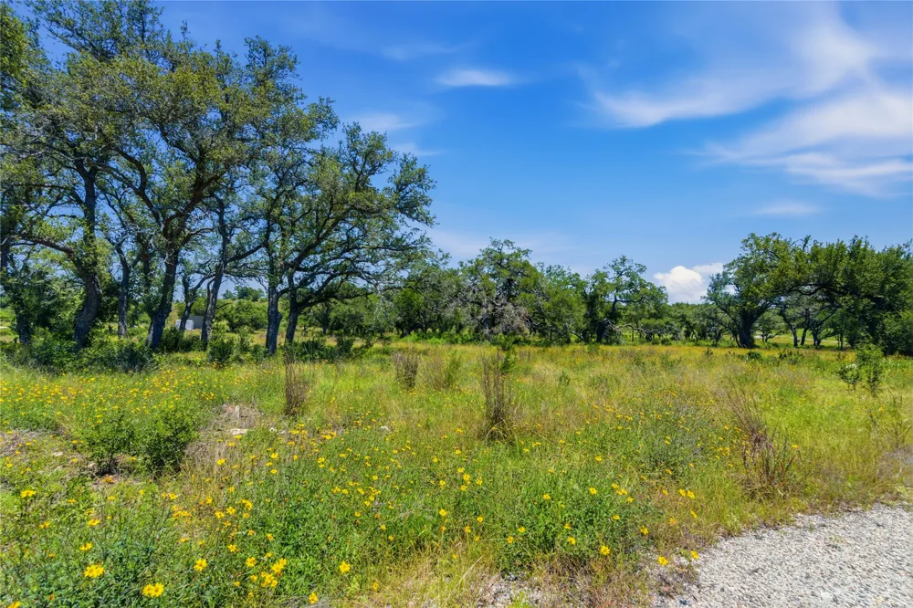 623 Whiskey Trail Blanco, TX 78606