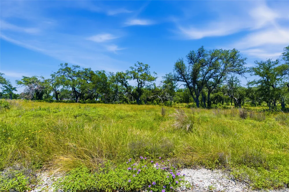 623 Whiskey Trail Blanco, TX 78606