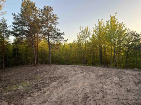 3779 Scholl Road