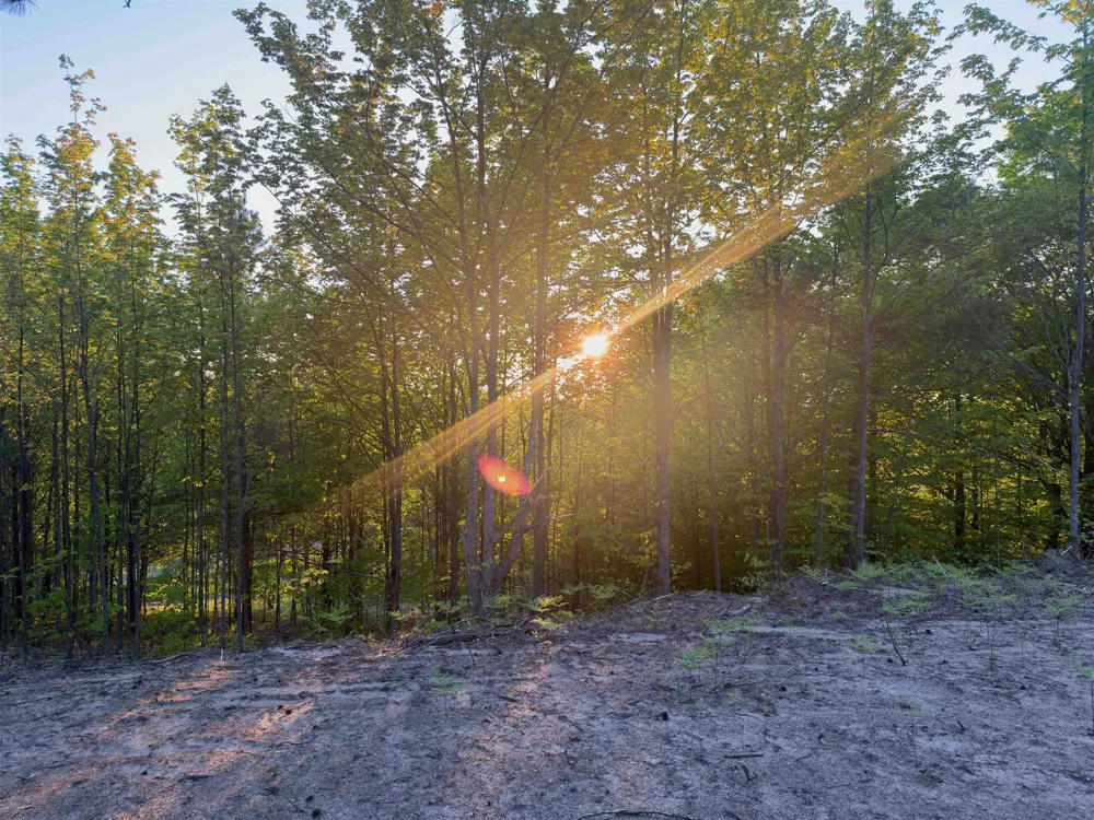 3779 Scholl Road Mancelona Township, MI 49659