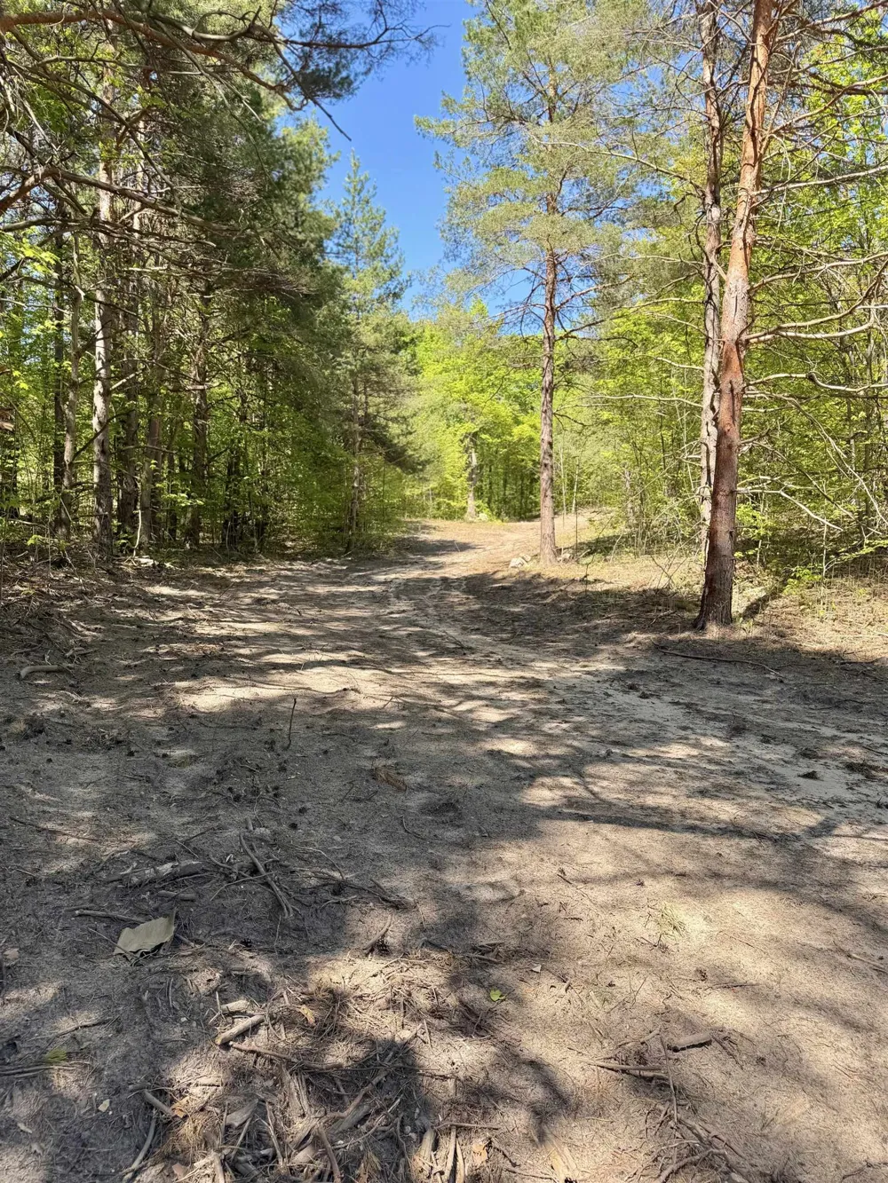 3779 Scholl Road Mancelona Township, MI 49659