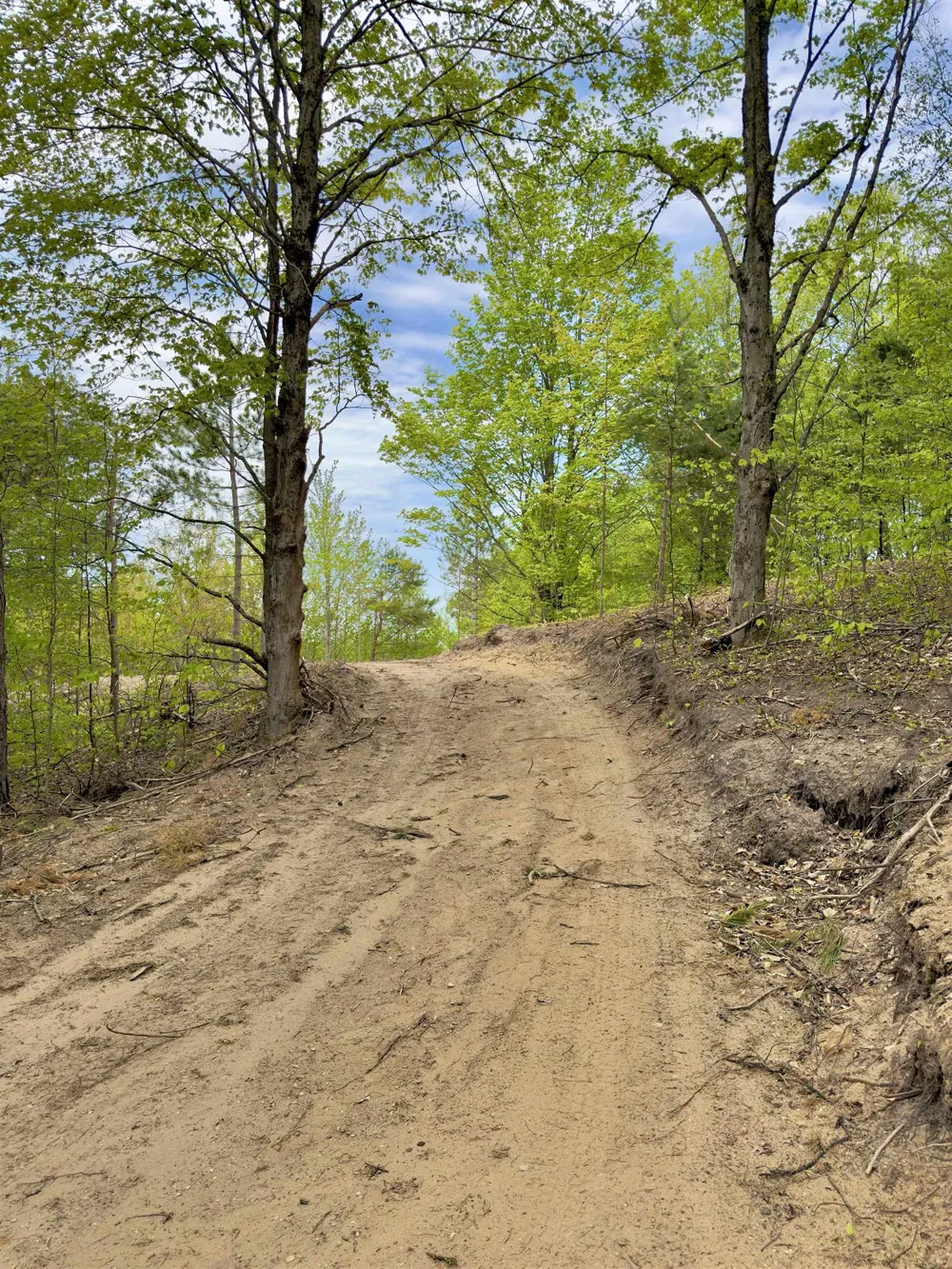 3779 Scholl Road Mancelona Township, MI 49659