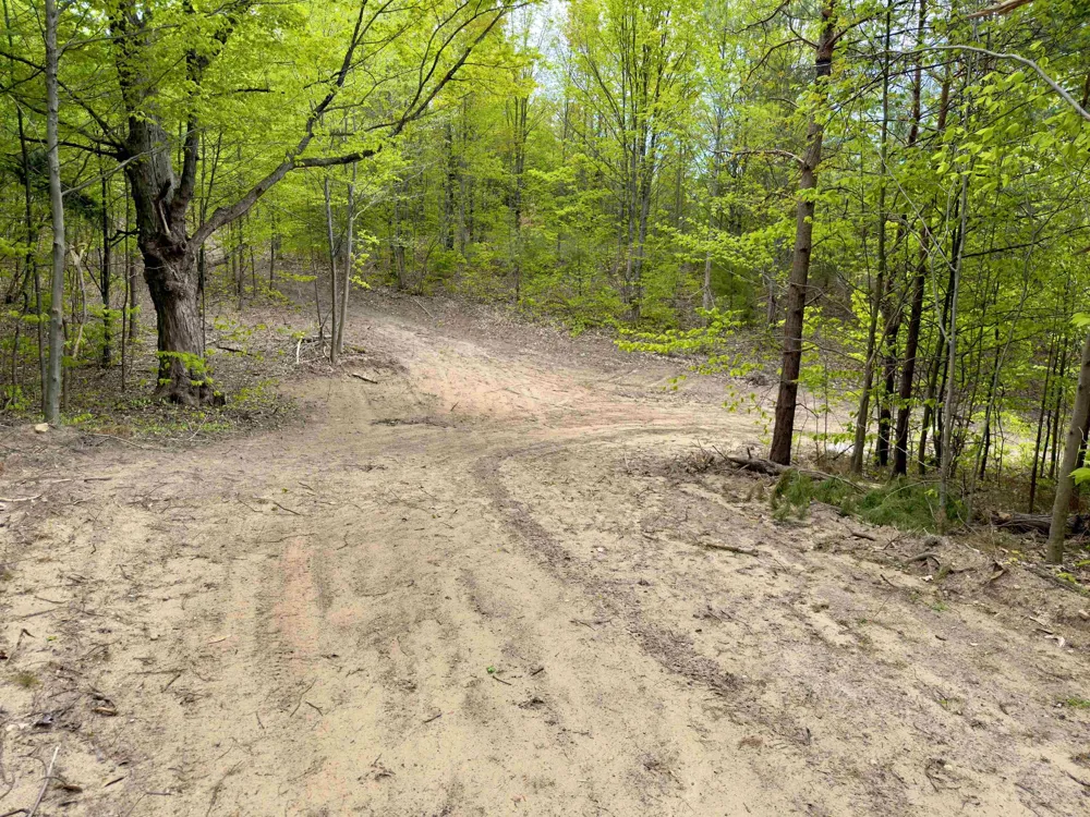 3779 Scholl Road Mancelona Township, MI 49659