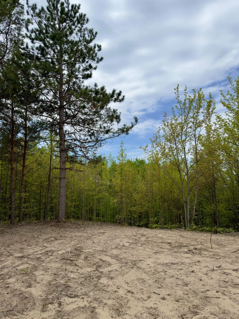 3779 Scholl Road Mancelona Township, MI 49659