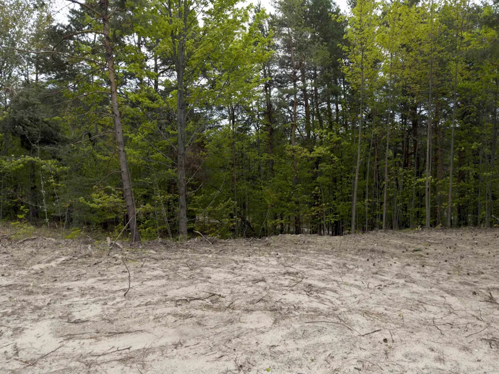 3779 Scholl Road Mancelona Township, MI 49659