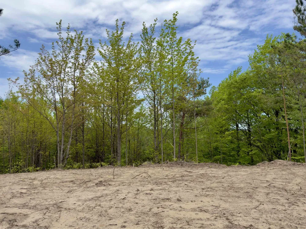 3779 Scholl Road Mancelona Township, MI 49659
