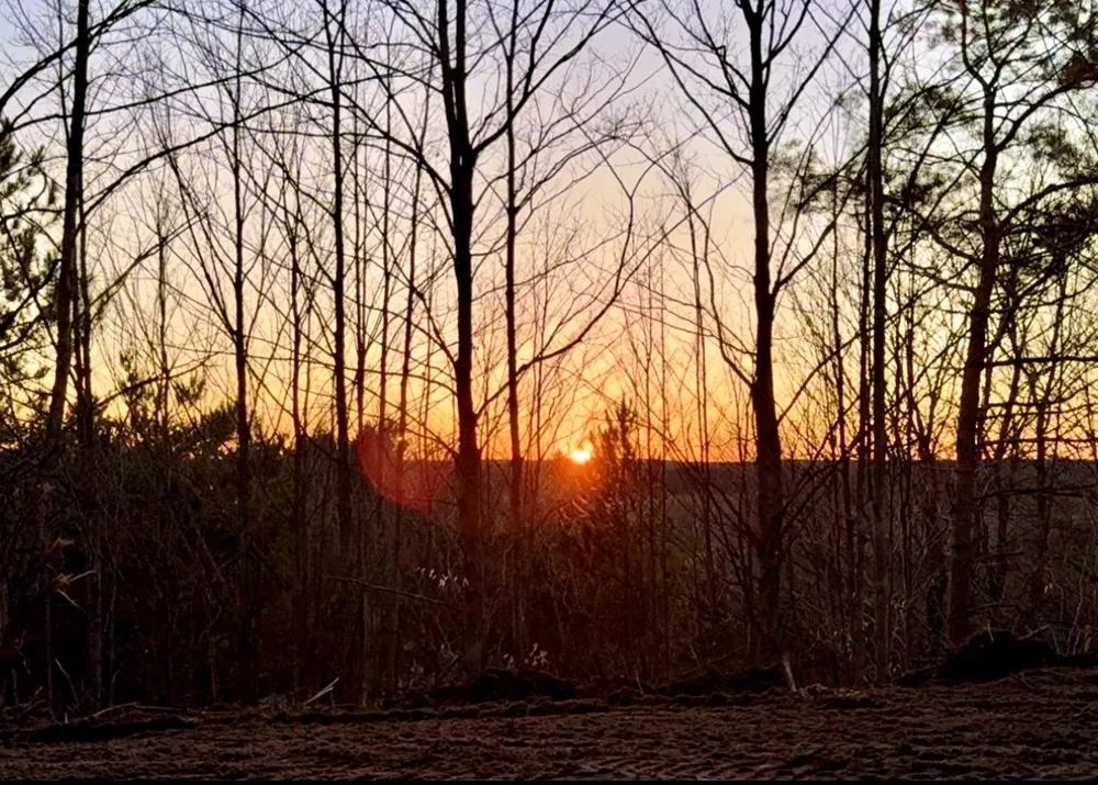 3779 Scholl Road Mancelona Township, MI 49659