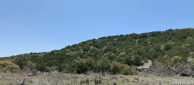 3259 Sd 45425 Rocksprings, TX 78880