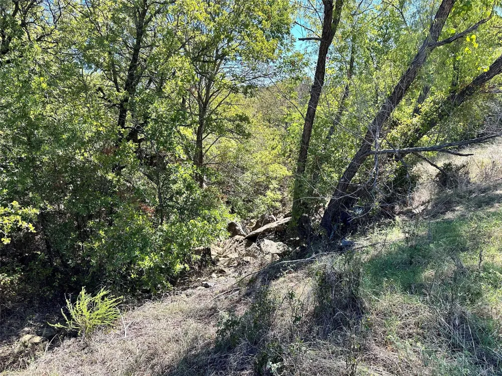 Ranchview Court Bowie, TX 76230