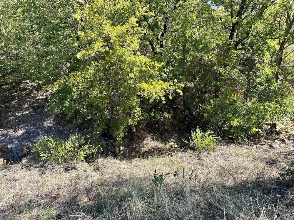Ranchview Court Bowie, TX 76230