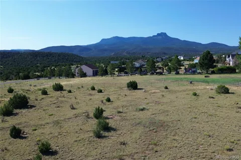 Pinon Terrace