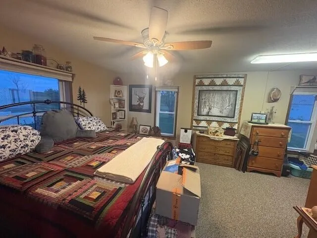 4072 20 Mile Road Marion Township, MI 49665