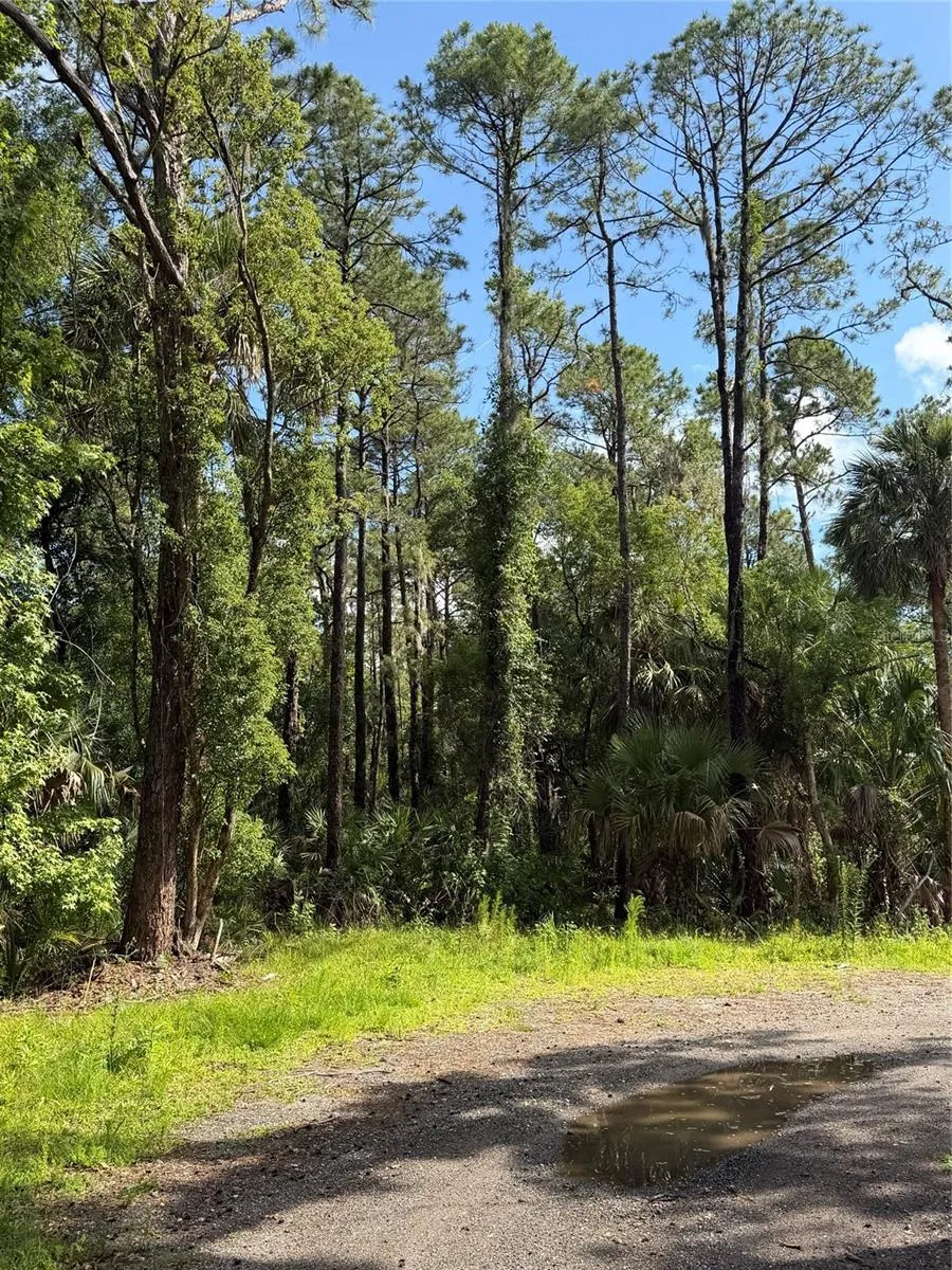 1340 JAYCE CT Geneva, FL 32732