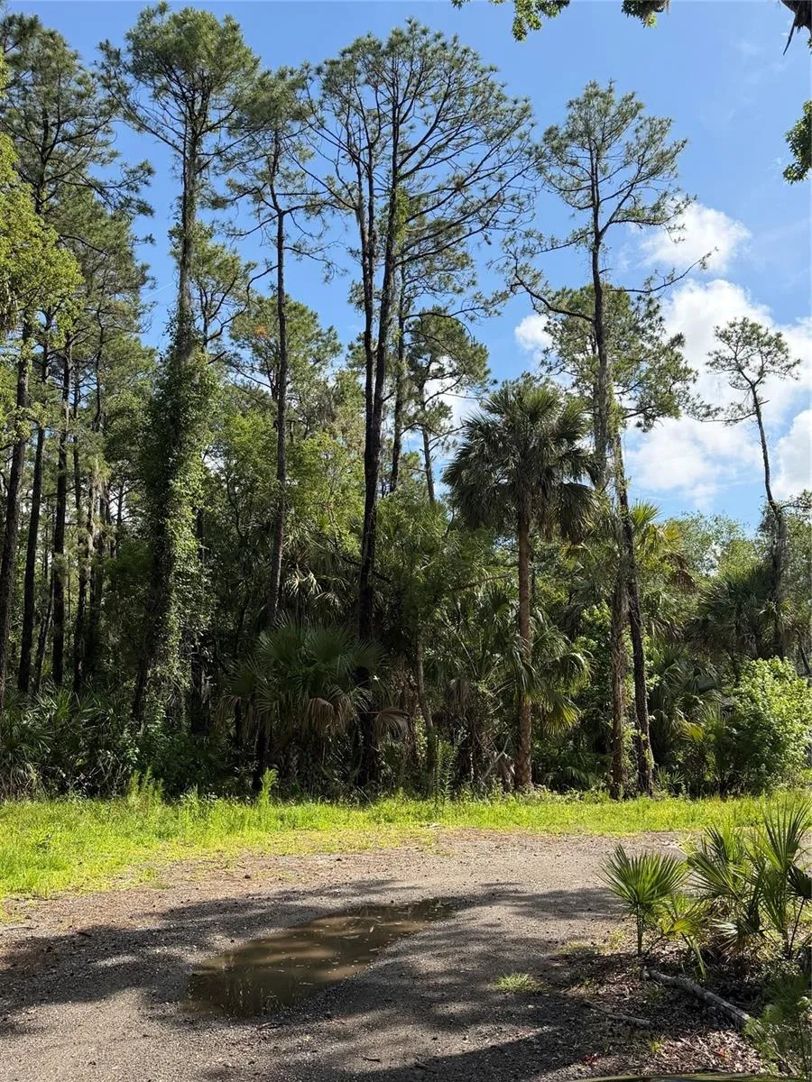 1340 JAYCE CT Geneva, FL 32732