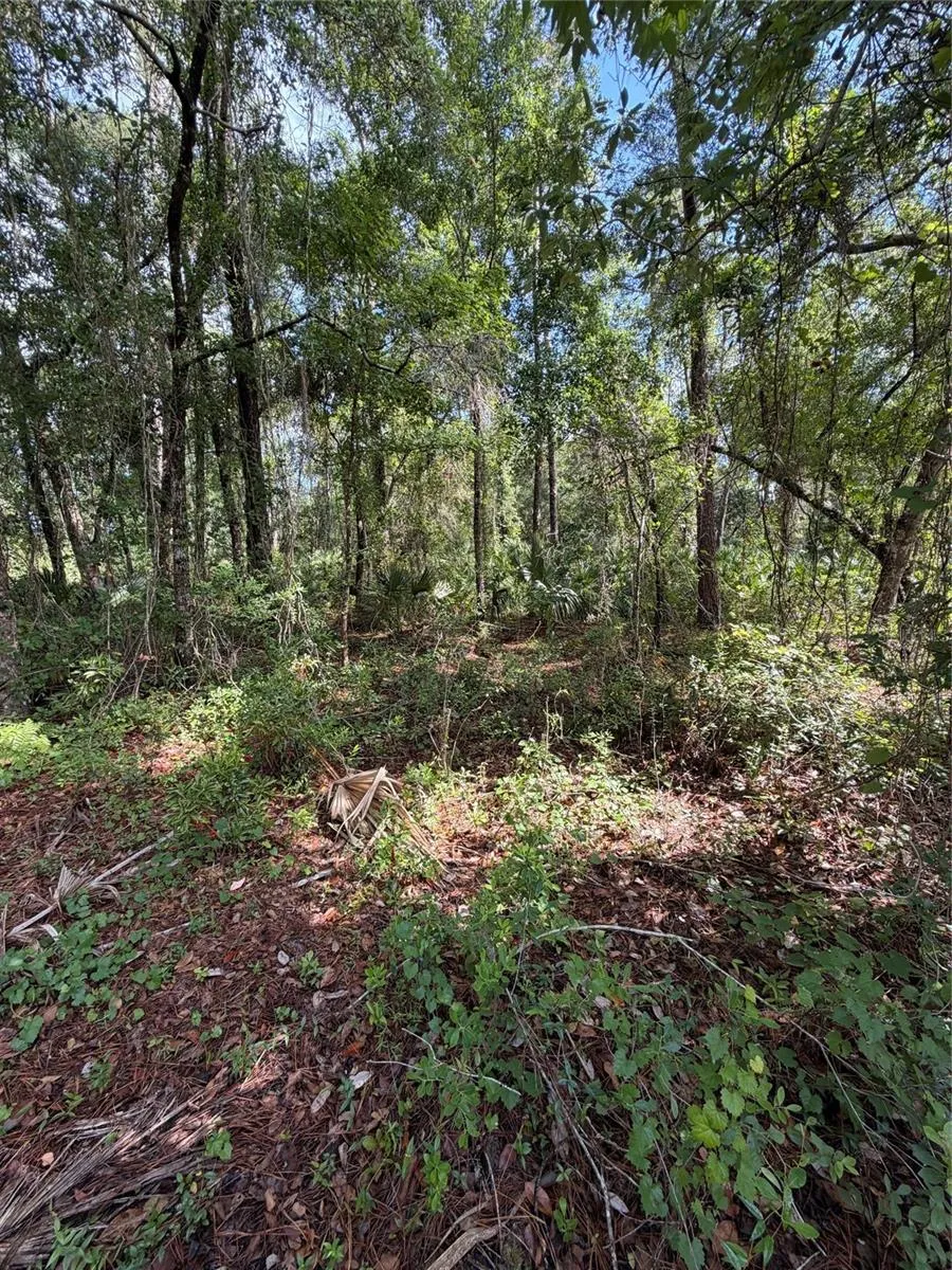 1340 JAYCE CT Geneva, FL 32732
