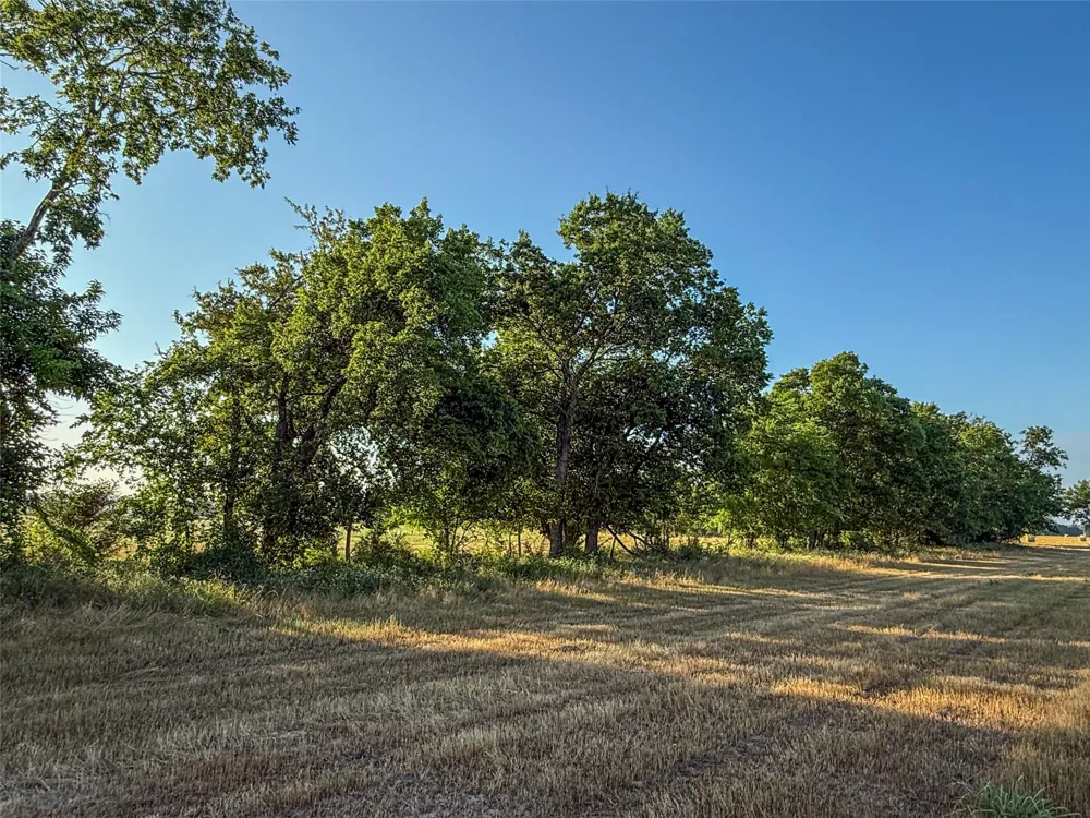 HWY 34 Honey Grove, TX 75446