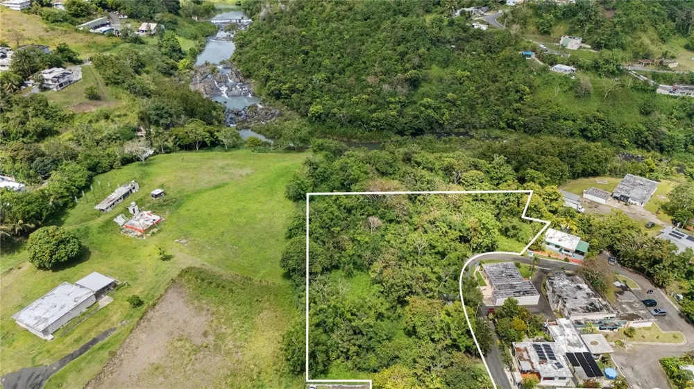 TRAZO BARRIO RINCON Cidra, PR 00739