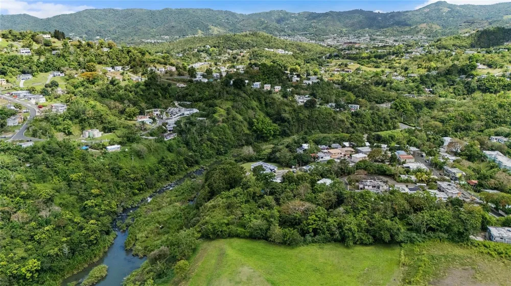 TRAZO BARRIO RINCON Cidra, PR 00739
