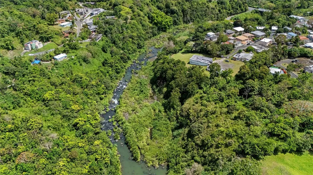 TRAZO BARRIO RINCON Cidra, PR 00739