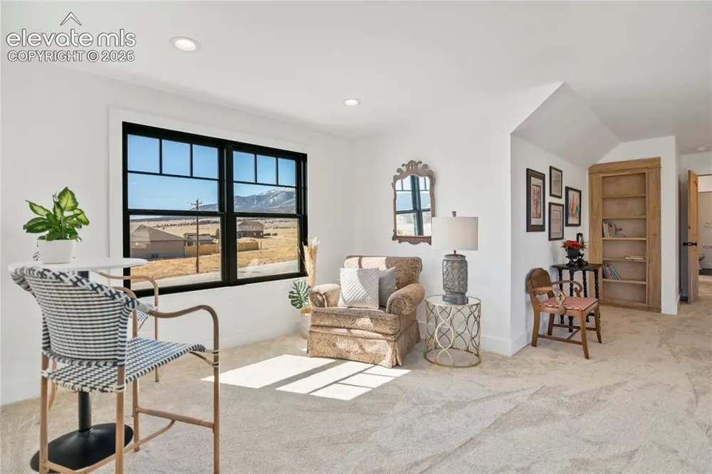 17320 County Road 306 Buena Vista, CO 81211