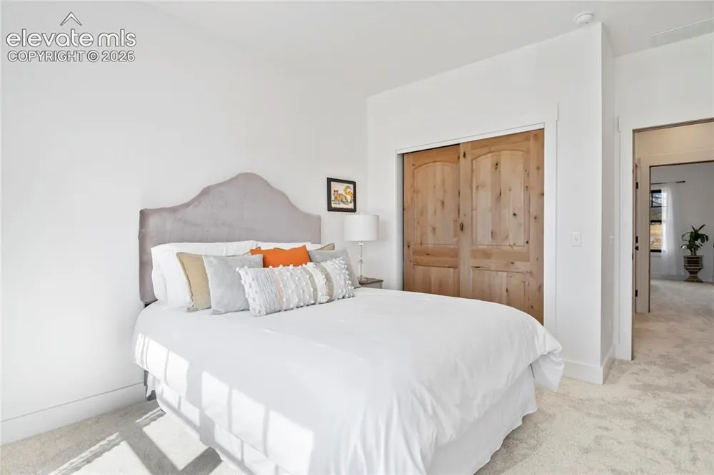 17320 County Road 306 Buena Vista, CO 81211