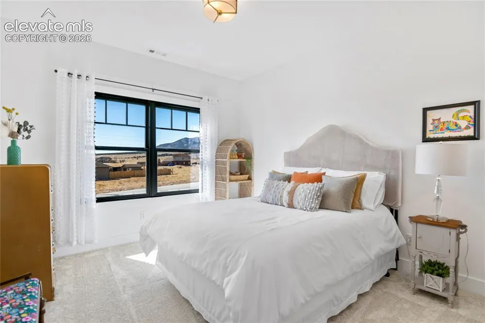 17320 County Road 306 Buena Vista, CO 81211
