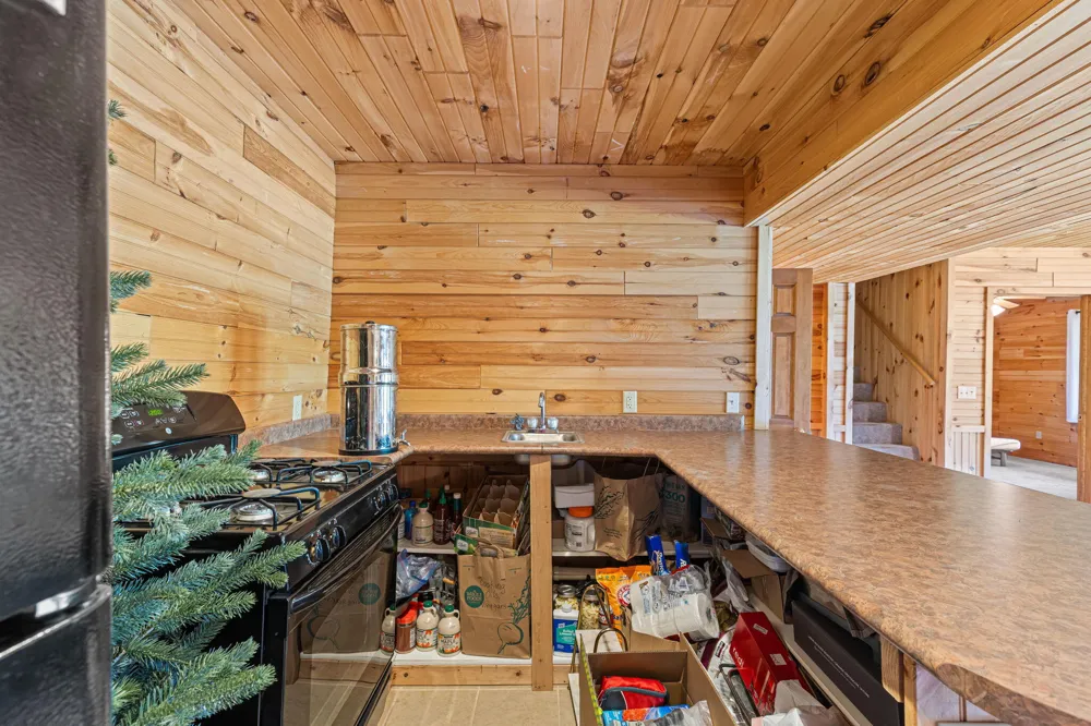 15902 Penesal Road Rose Lake Township, MI 49655