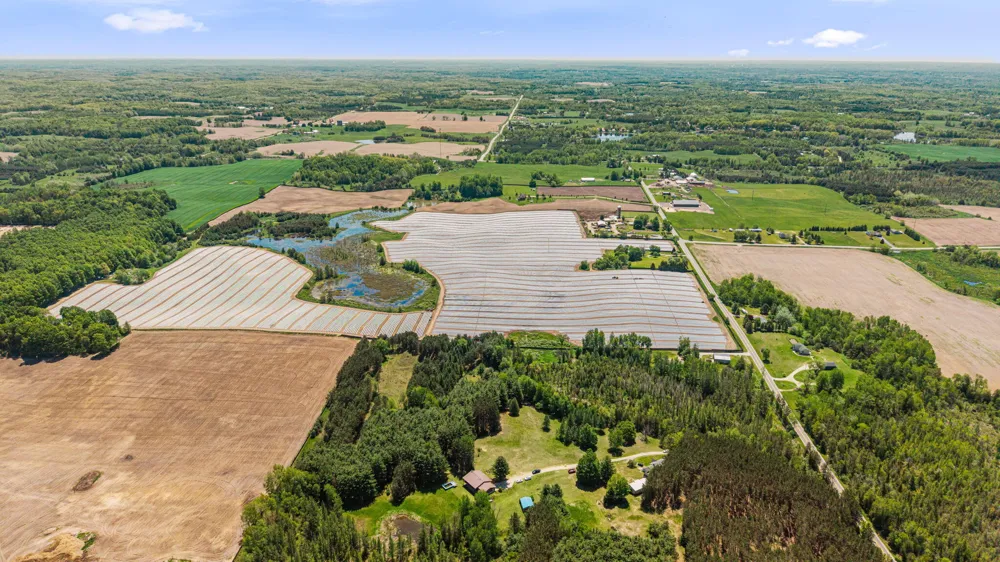 15902 Penesal Road Rose Lake Township, MI 49655