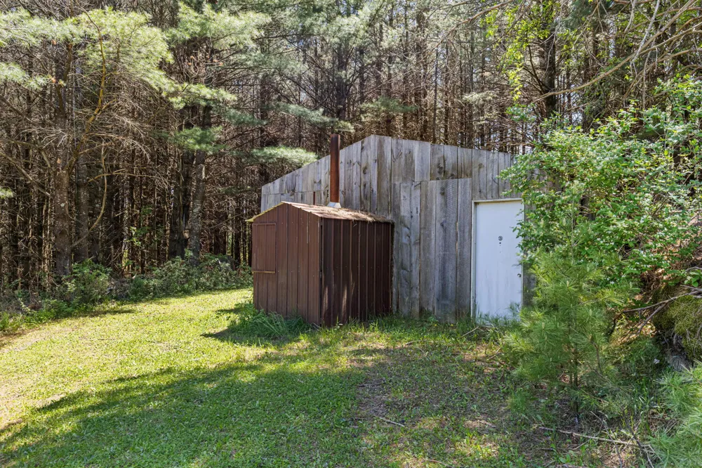 15902 Penesal Road Rose Lake Township, MI 49655