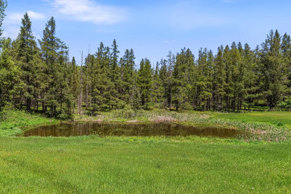15902 Penesal Road Rose Lake Township, MI 49655