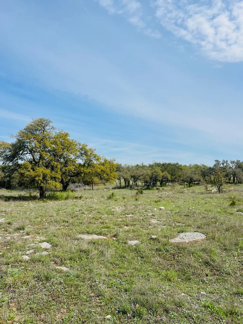 8 W Flying Owl Drive Johnson City, TX 78636