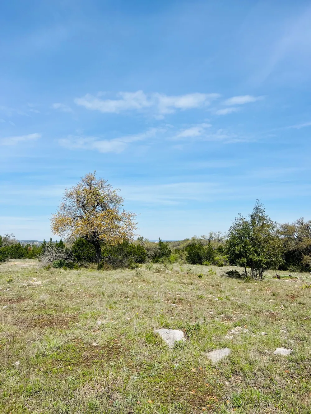 8 W Flying Owl Drive Johnson City, TX 78636