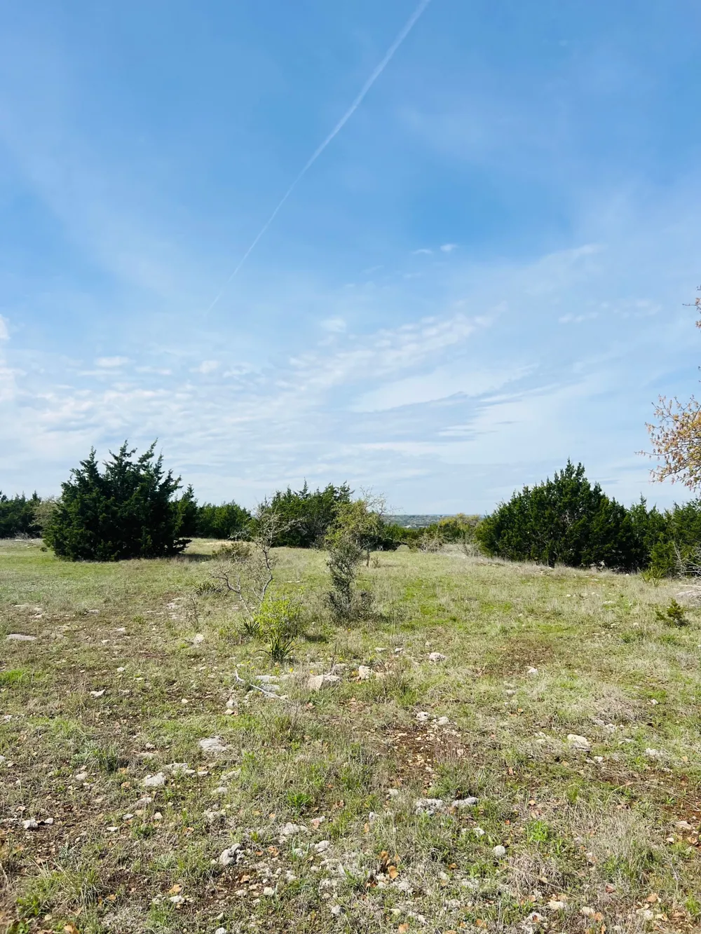 8 W Flying Owl Drive Johnson City, TX 78636