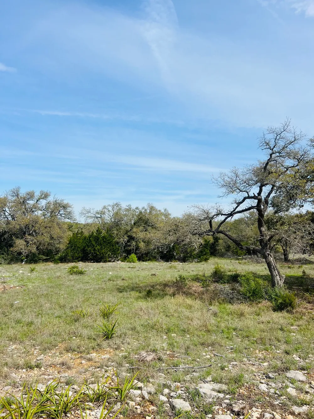 8 W Flying Owl Drive Johnson City, TX 78636