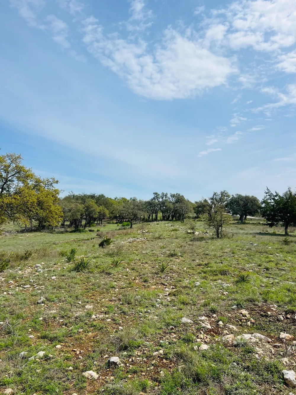 8 W Flying Owl Drive Johnson City, TX 78636