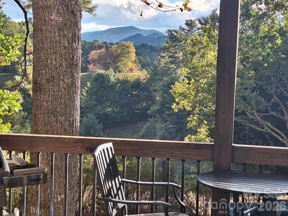 211 Wimbledon Court Leicester, NC 28748
