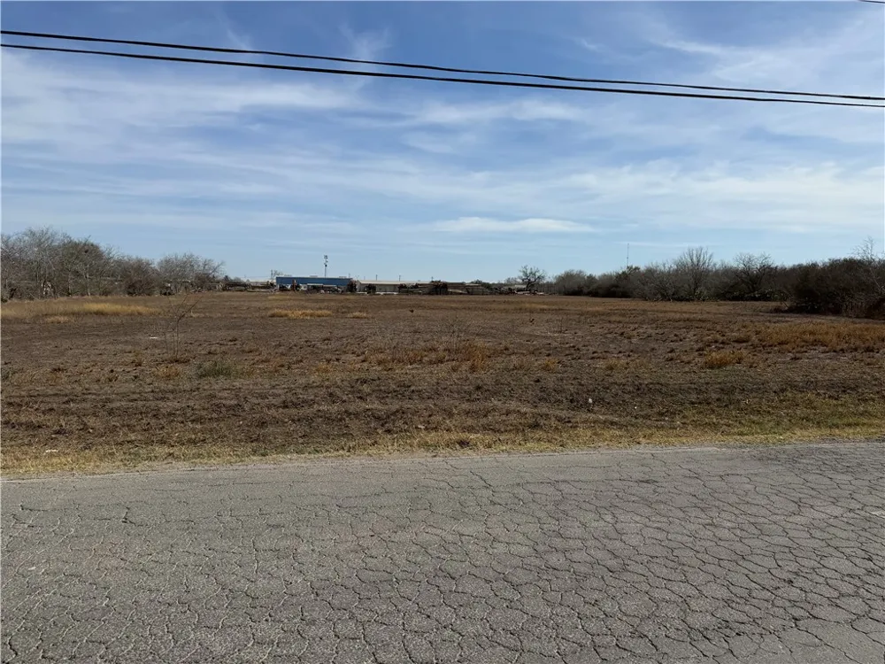 Burleson Street George West, TX 78022