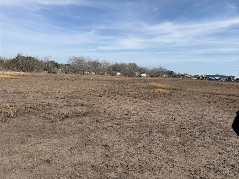 Burleson Street George West, TX 78022