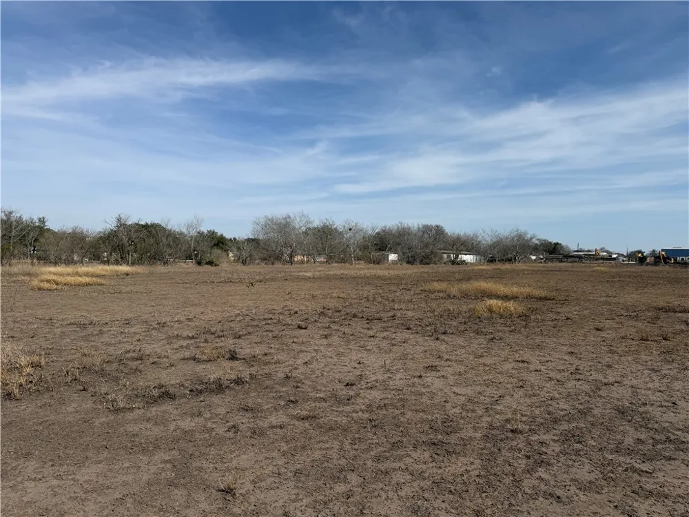 Burleson Street George West, TX 78022