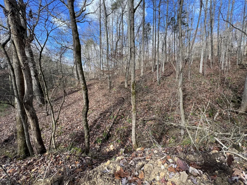 0 Smyrna Road Evensville, TN 37332