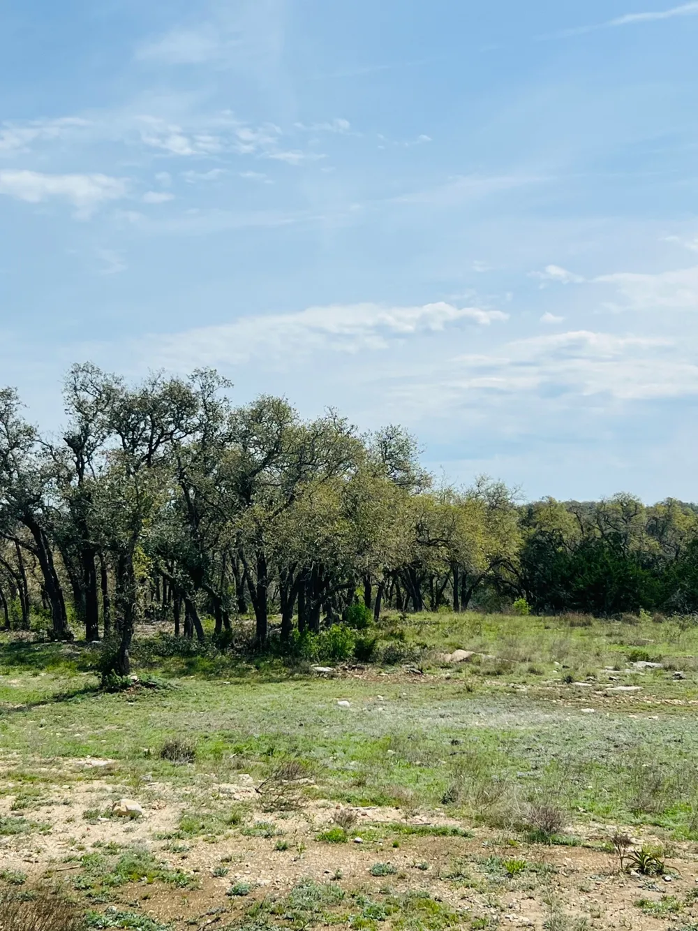 40 Prancing Deer Lane Johnson City, TX 78636