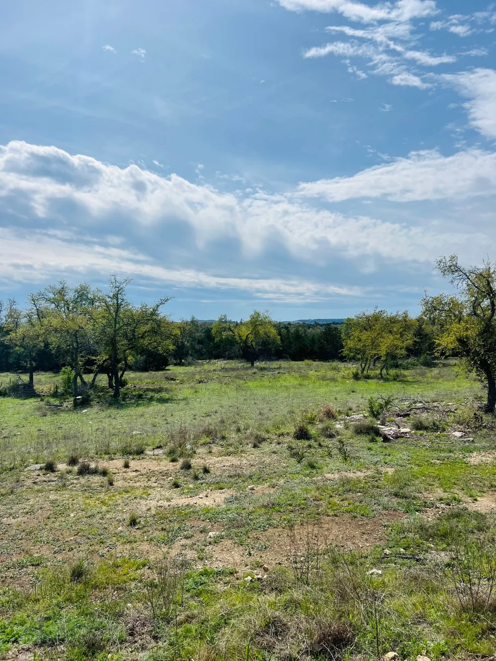 40 Prancing Deer Lane Johnson City, TX 78636