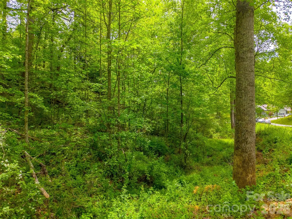 LT 27 Peak View Lane Waynesville, NC 28785
