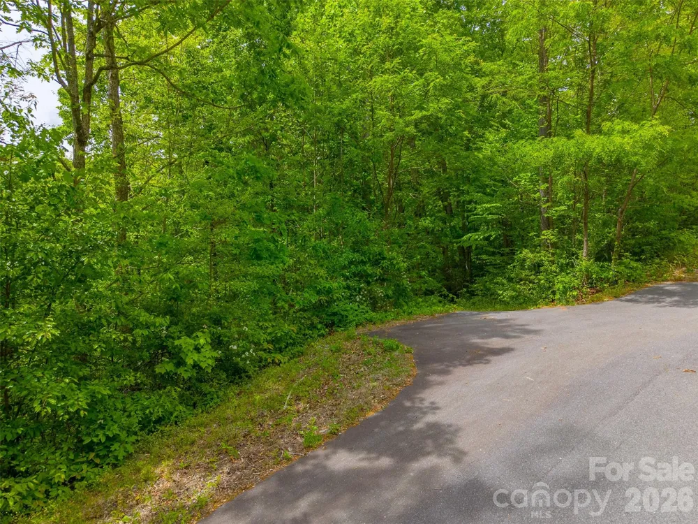 LT 27 Peak View Lane Waynesville, NC 28785
