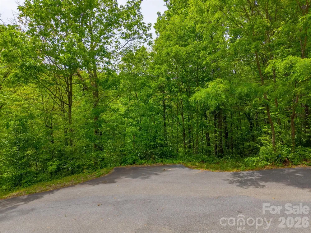 LT 27 Peak View Lane Waynesville, NC 28785